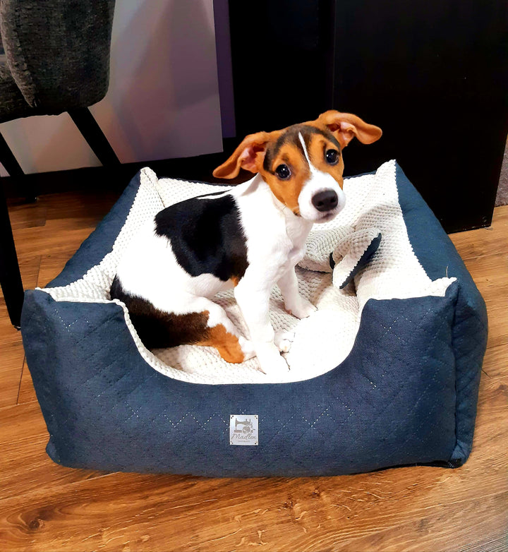 Das Pfotenparadies - Luxus Hundebett | Strapazierfähiger Velours mit Glanz