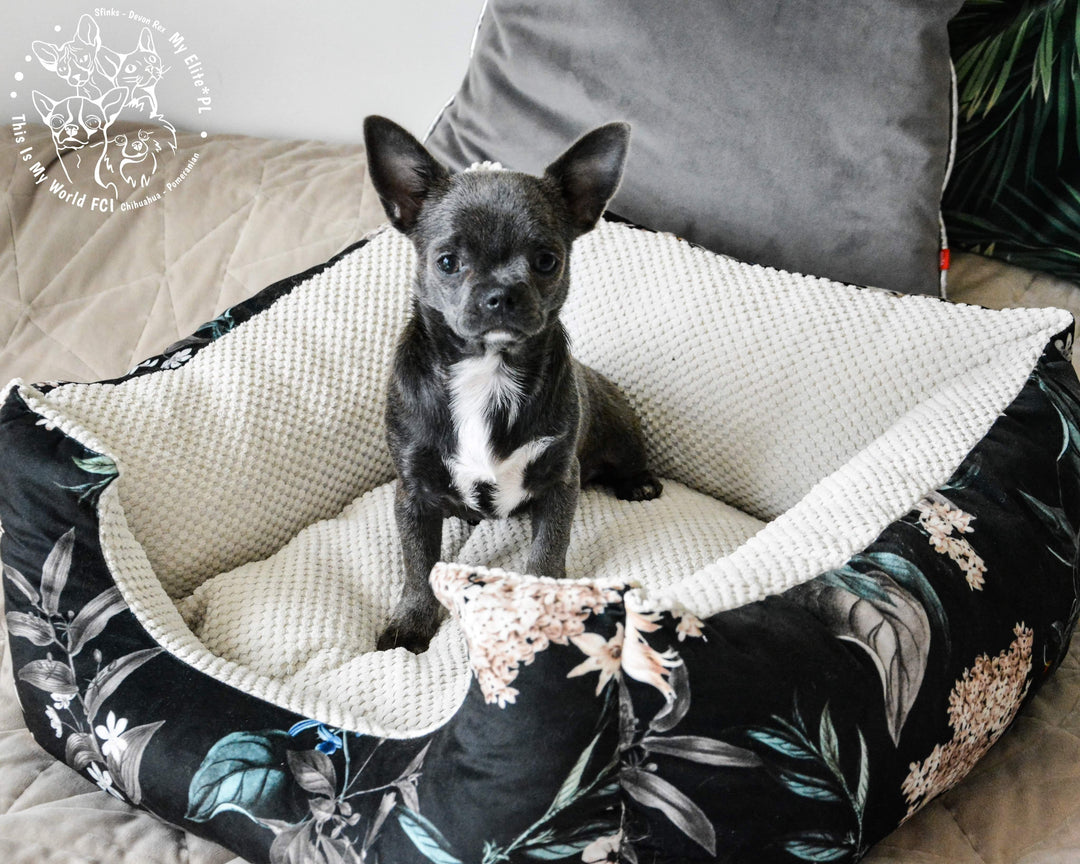 Das Pfotenparadies - Luxus Hundebett | Strapazierfähiger Velours mit Glanz
