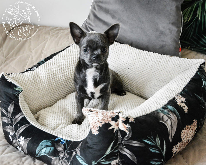 Das Pfotenparadies - Luxus Hundebett | Strapazierfähiger Velours mit Glanz