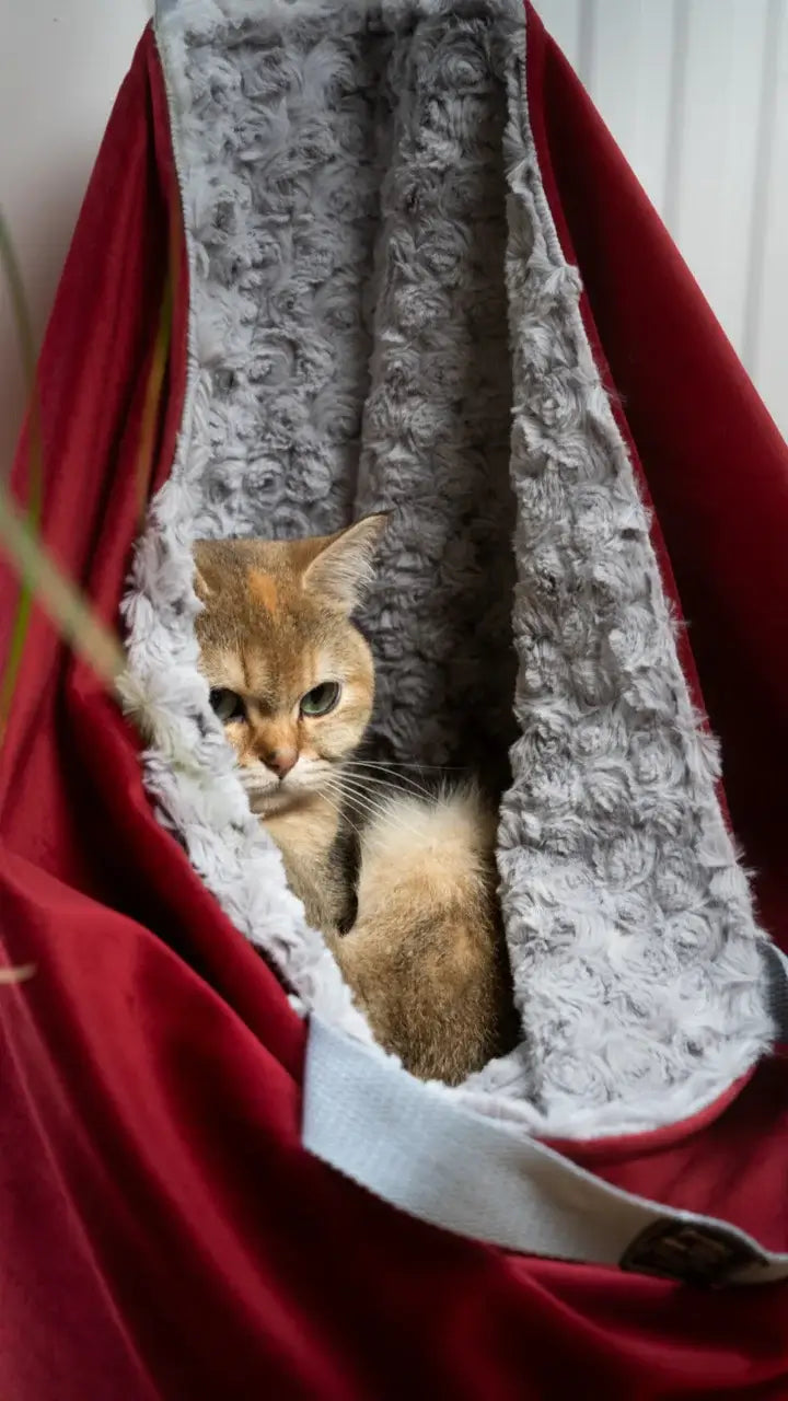 Der Kängurubeutel - Tragetasche für Katzen | Handgefertigte Premium-Velours