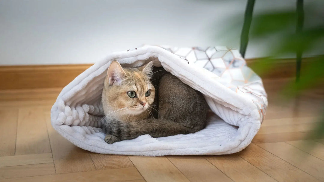 Der Schnuffelschlafsack - Katzenschlafsack | Handgefertigter Premium-Velours